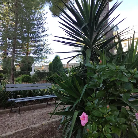 Rosa Molas